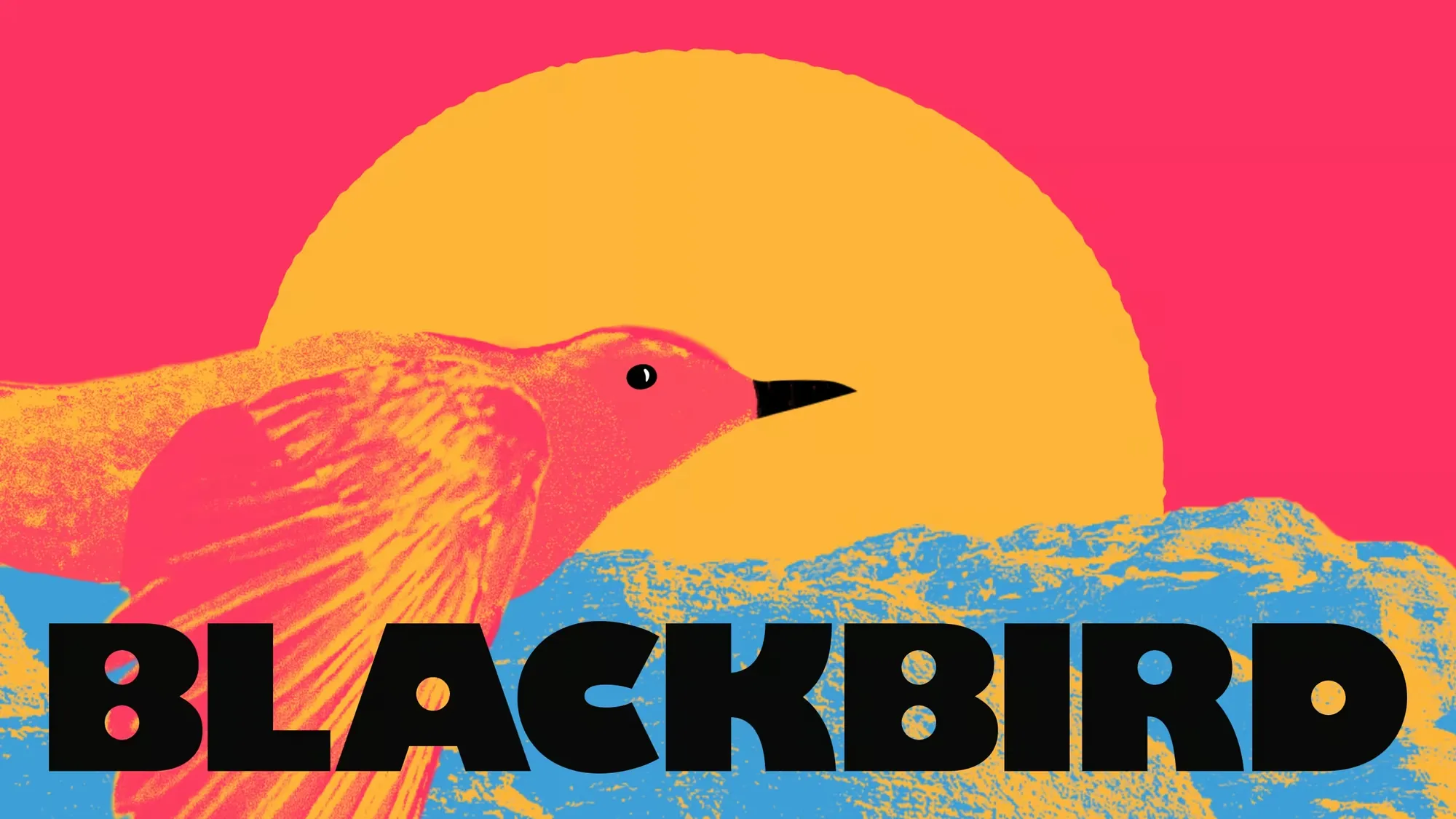 Blackbird Ventures: Main website and SARs website
