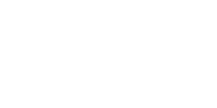 Big Fan