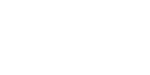 Wild Boy